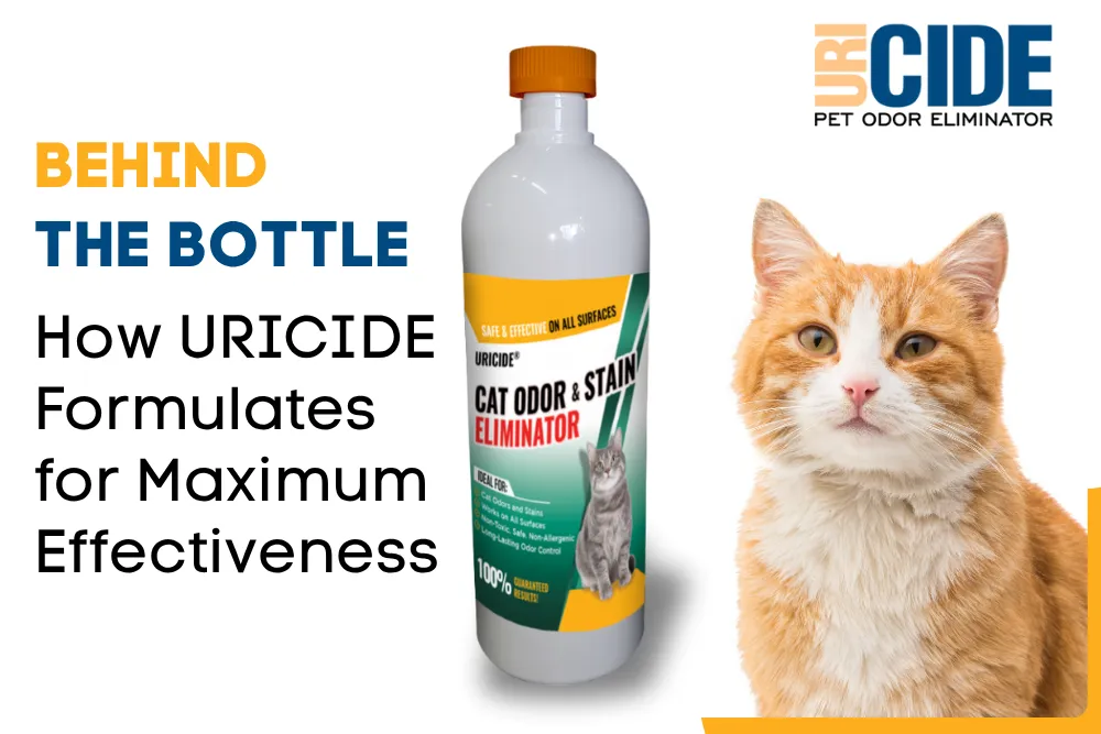 Clean Dog Urine from Padding Before It's Permanent (2) enzyme-based cleaner