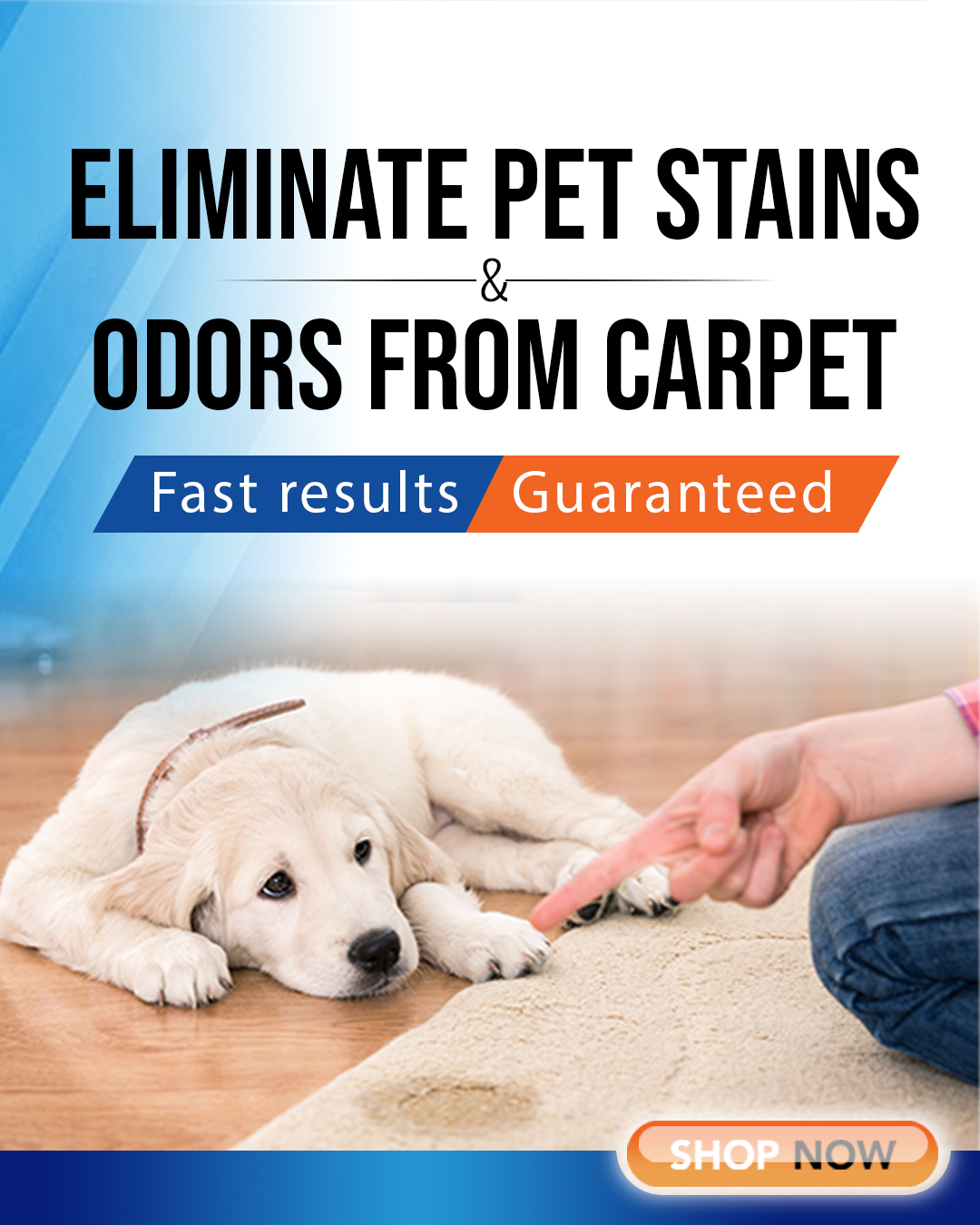 pet odors on carpet 1080x1350